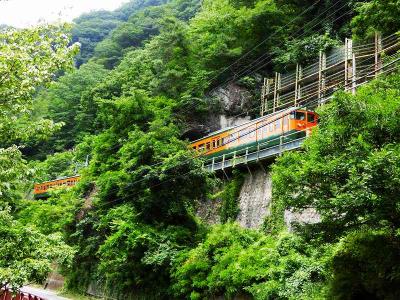 吾妻線の日本一短い・樽沢トンネルを抜ける普通電車