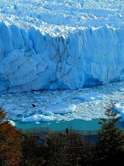 ★南米、時には徒歩で （２４）ペリト・モレノ氷河展望台を巡る