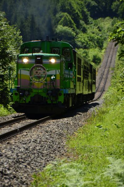 夏の北海道を巡る旅 ～美瑛・パノラマロードでサイクリングしてみた（前編）～