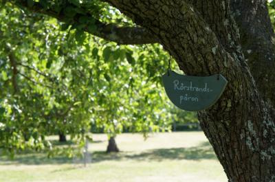 真夏のストックホルムへ（北欧なのに炎天下編）