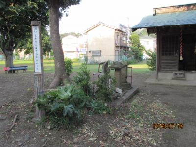 相模国分寺跡を往く。（４）資料館を見て「国分尼寺」へ。