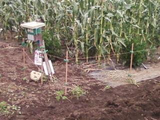 霧の黒姫山麓　週末別荘ライフ＠信州野尻湖　2014　8月　1