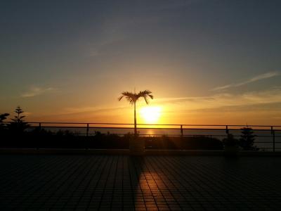 10年振り？   やっと来れた！沖縄