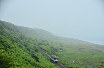 夏の北海道を巡る旅 ～日高線に乗って優駿のサラブレッド達に会いに訪れてみた（前編）～