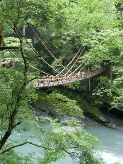 弾丸四国の旅　車ではきついぜよ　高知 祖谷渓編