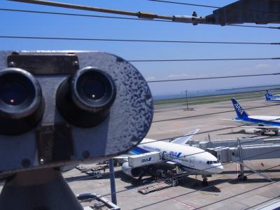 念願の石垣島へ 1日目