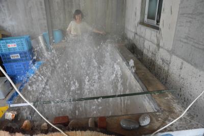 ７月の伊豆　伊東宇佐美にある、いなばさんちの温泉たまご　うなぎ浜名亭のランチ　２０１４年７月