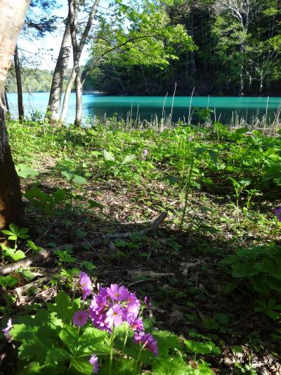'14北海道で春を満喫！5泊6日オフ会の旅④「今中さんと行く、朝飯前のオンネトー＆阿寒湖ボッケ散策～」