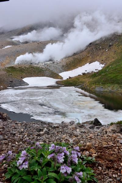 自然を満喫する夏の北海道16日間の旅　（７）大雪山旭岳に登る