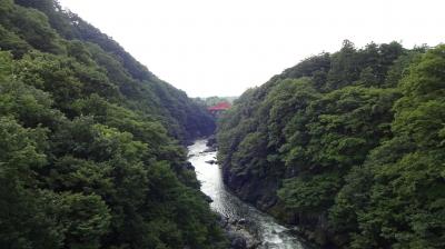 群馬県伊勢崎市＆みどり市・自然探訪記