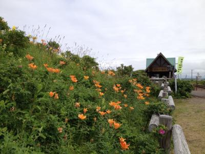 原生花園