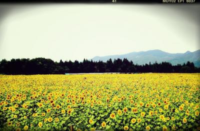 2014 夏キャンプ@新潟 津南