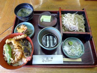 三平の昼食　三島市佐野体験農園　トウモロコシ・カボチャ・ズッキーニ・夏野菜の収穫