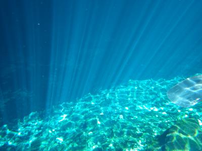 《カンクン&ラスベガス☆Honeymoon》 ④神秘の泉セノーテ