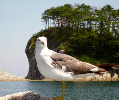 宮古・浄土ヶ浜へおいでよ。やっぱす、夏は海だべ