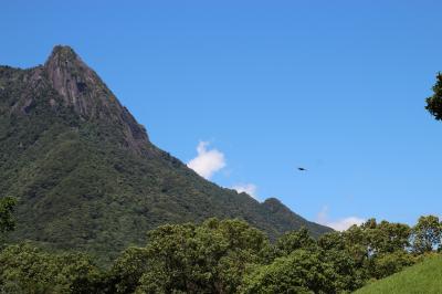 初めての1人旅in屋久島2014・３日目「もものけの苔の森」白谷雲水峡＆ローカル温泉編