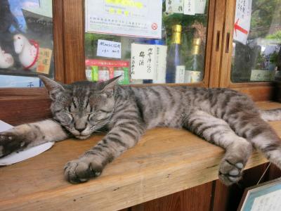 2014年7月 にゃんとも暑い真夏の関西2泊3日★姪っ子甥っ子と行く京都1泊～ 京宿 うさぎ