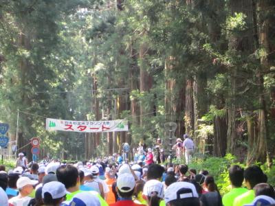 東武動物公園を経由して第９回日光杉並木マラソンに参加してきました。
