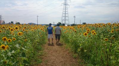 夏だ　プールだ　芝政ワールド