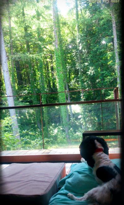 2014 夏旅②@山梨で過ごすリゾート“レジーナリゾート富士”