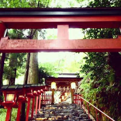 パワスポ貴船神社、七夕飾りライトアップ