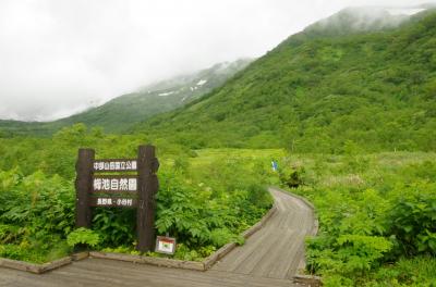 栂池高原 白馬五竜花巡り