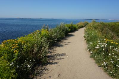 フィンランド・ヘルシンキとエストニア・タリン　街歩きひとり旅③。