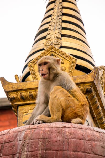 アジア周遊旅行２０１４　パート６（ネパール・カトマンズ編）