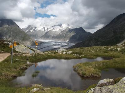 2014年　スイス旅行　一日目　アレッチ氷河とブリーク