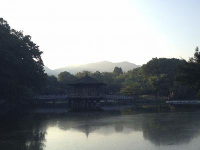 朝の奈良公園散歩