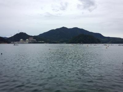 若狭高浜でダイビング Aug. 2, '14