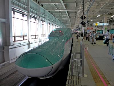 【国内162】2014.7はやぶさグランクラスで仙台とんぼがえり