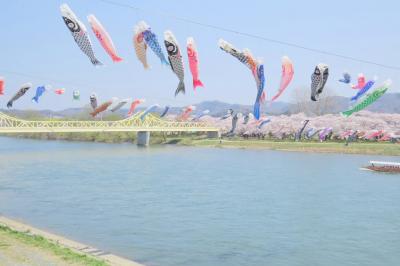 展勝地で花見＆バードウォッチング [2014](1)