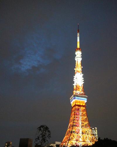 お得にビックサイズの東京タワービュー！！（The Prince Park Tower Tokyo)