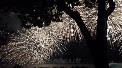 琵琶湖 雨の花火大会 