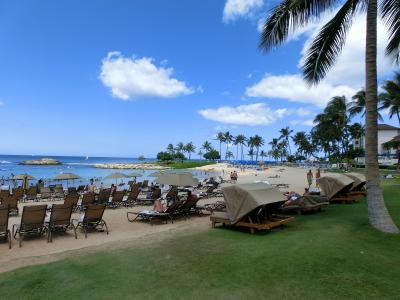 ハワイアン航空で行く　ちょっと蒸し暑かったHAWAII 2014 その 4/7