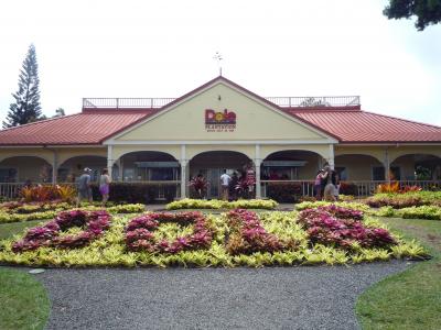 2014☆ハワイ8泊10日　③オアフ島を時計回りにレンタカーで巡る3日目