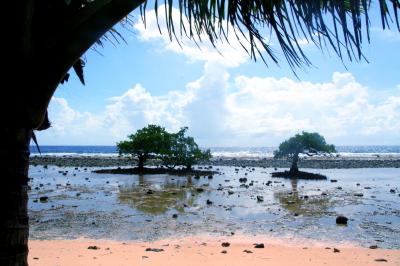 ミクロネシアでホームステイ。【コスラエ】の旅（5）～超ワイルドなウナギ漁