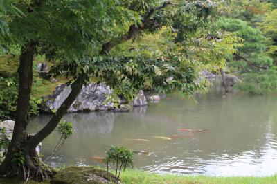 嵯峨野・嵐山散策