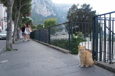 南イタリア・ギリシャ珍道中14日間③ナポリ・カプリ島