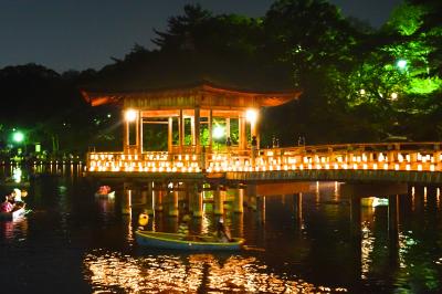 古都奈良の夏の風物詩『なら燈花会』を訪ねて