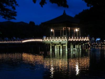 奈良　燈花会　灯人ボランティア　浮見堂　２０１４年