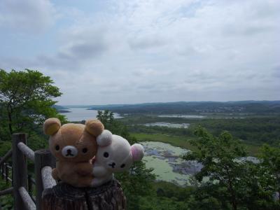 北海道　女一人旅　６　釧路湿原編