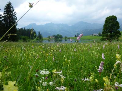 2014年レンタカーと列車で巡るスイスの旅③ センティス山 → ケーゼルック → シュヴェンディ湖