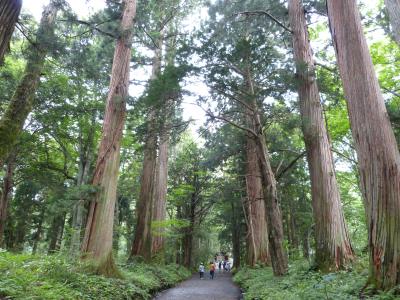 清浄な戸隠の杜へ