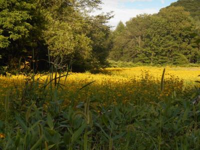 北海の夏～一人旅、帰省、花火