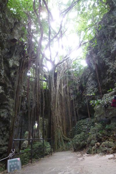 娘と二人旅　ガンガラーの谷