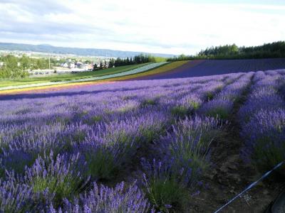 ぶら~~り 北海道