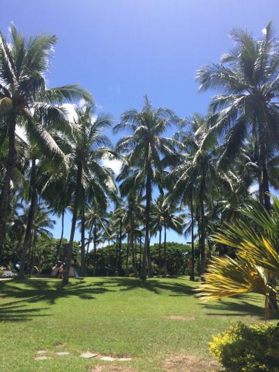 ワイハ下見旅行