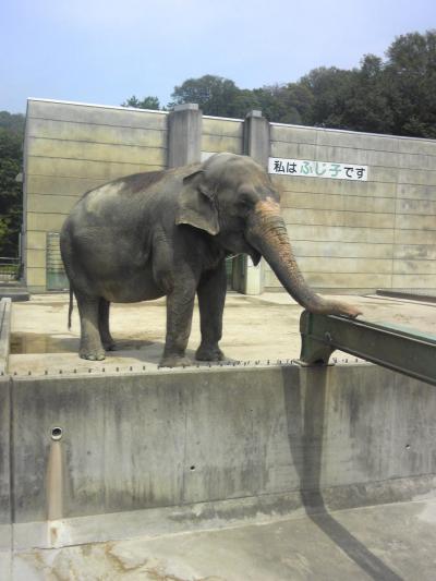 動物園